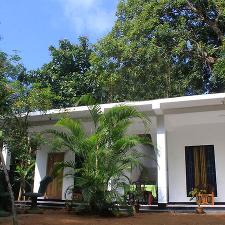 Sigiriya Mana B&B Dış mekan fotoğraf