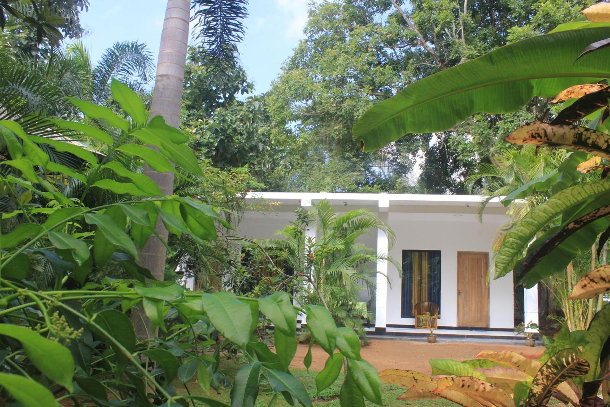 Sigiriya Mana B&B Dış mekan fotoğraf