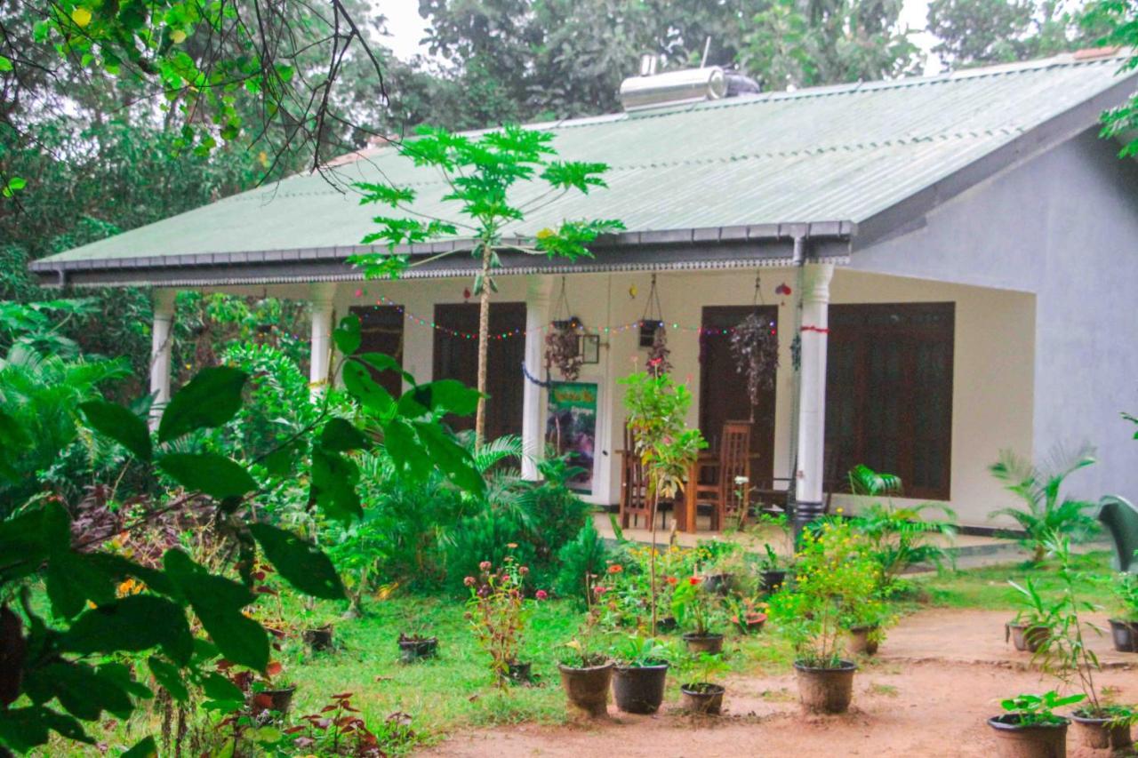 Sigiriya Mana B&B Dış mekan fotoğraf