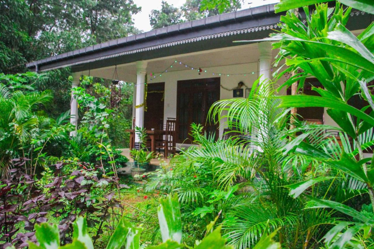 Sigiriya Mana B&B Dış mekan fotoğraf
