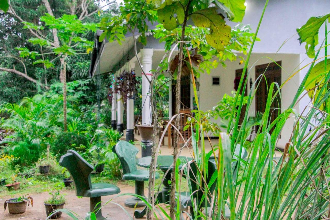 Sigiriya Mana B&B Dış mekan fotoğraf