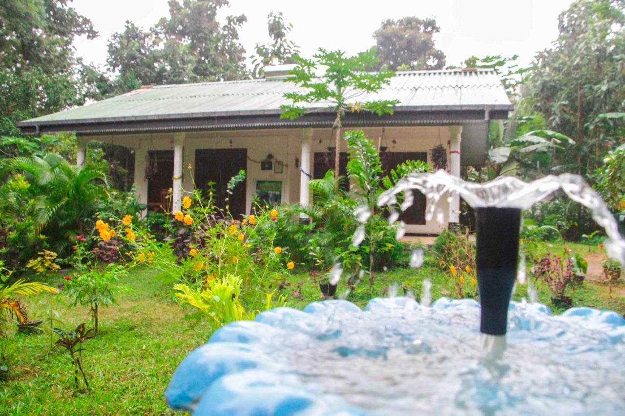 Sigiriya Mana B&B Dış mekan fotoğraf