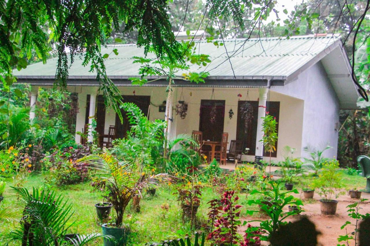 Sigiriya Mana B&B Dış mekan fotoğraf