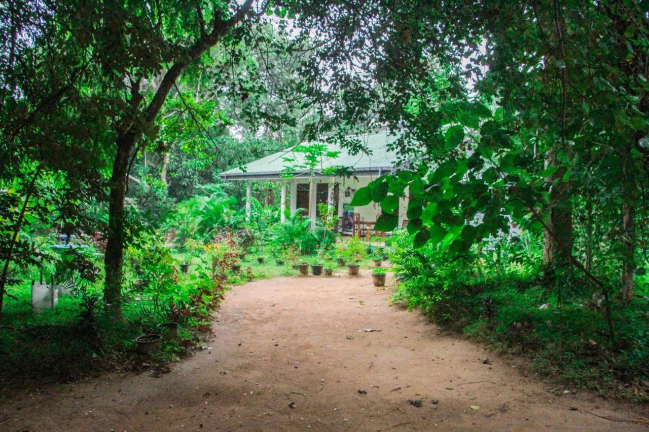 Sigiriya Mana B&B Dış mekan fotoğraf