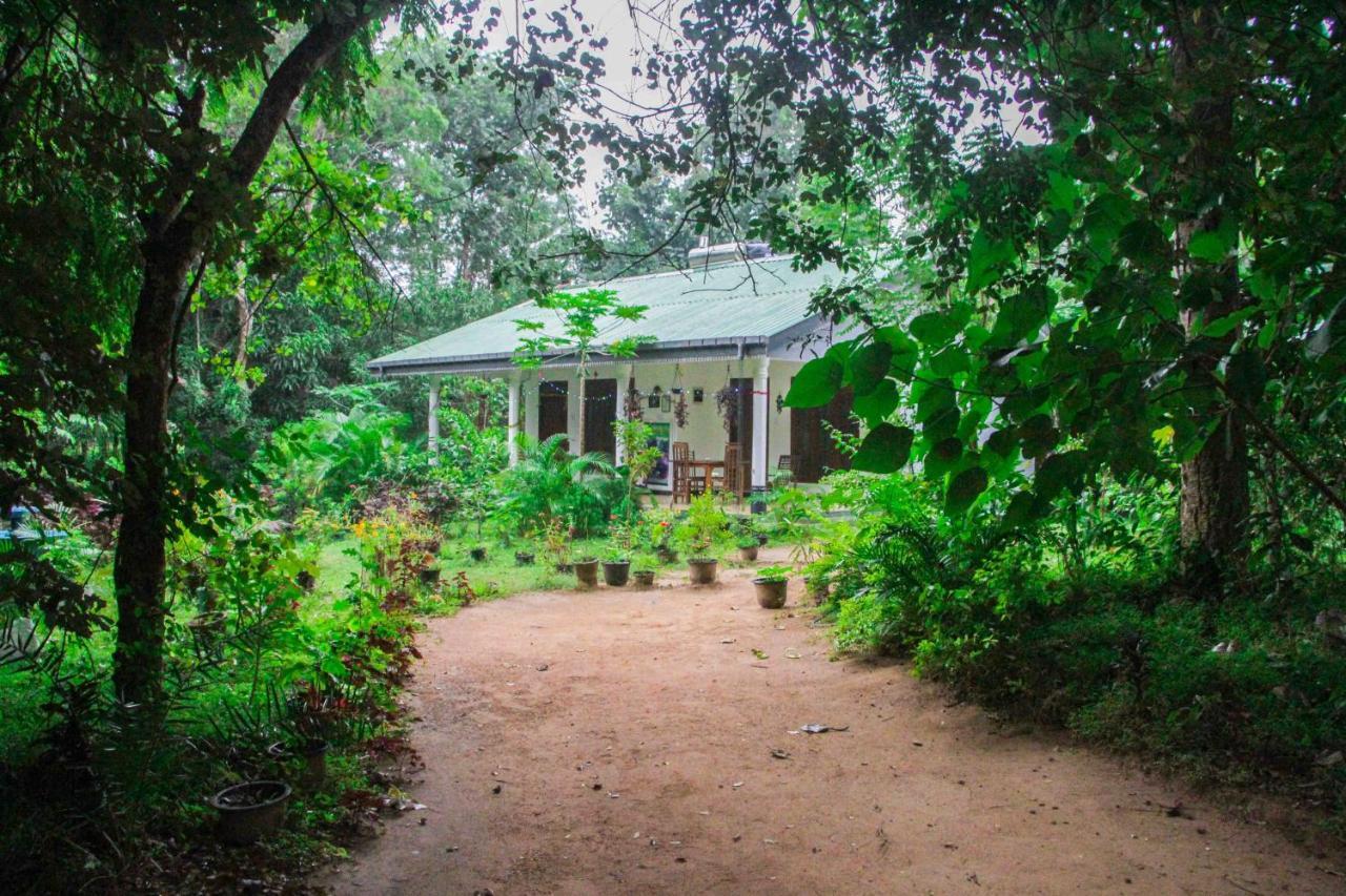 Sigiriya Mana B&B Dış mekan fotoğraf