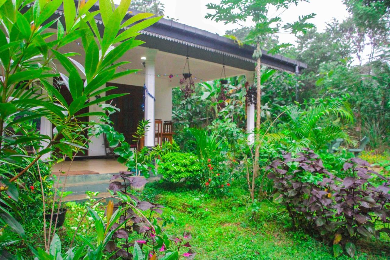 Sigiriya Mana B&B Dış mekan fotoğraf