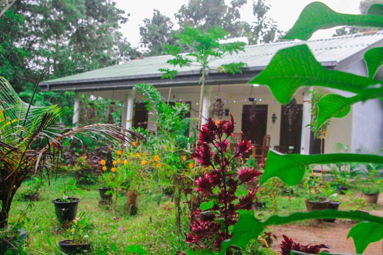 Sigiriya Mana B&B Dış mekan fotoğraf