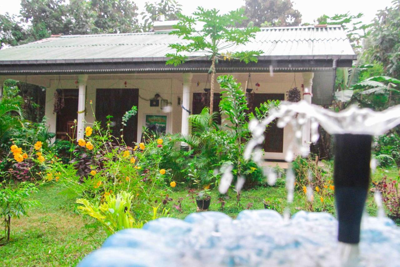 Sigiriya Mana B&B Dış mekan fotoğraf