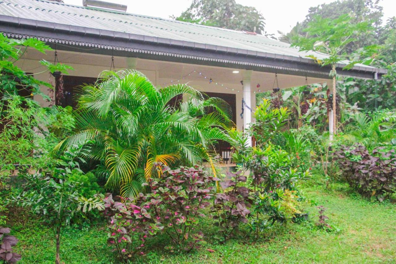 Sigiriya Mana B&B Dış mekan fotoğraf