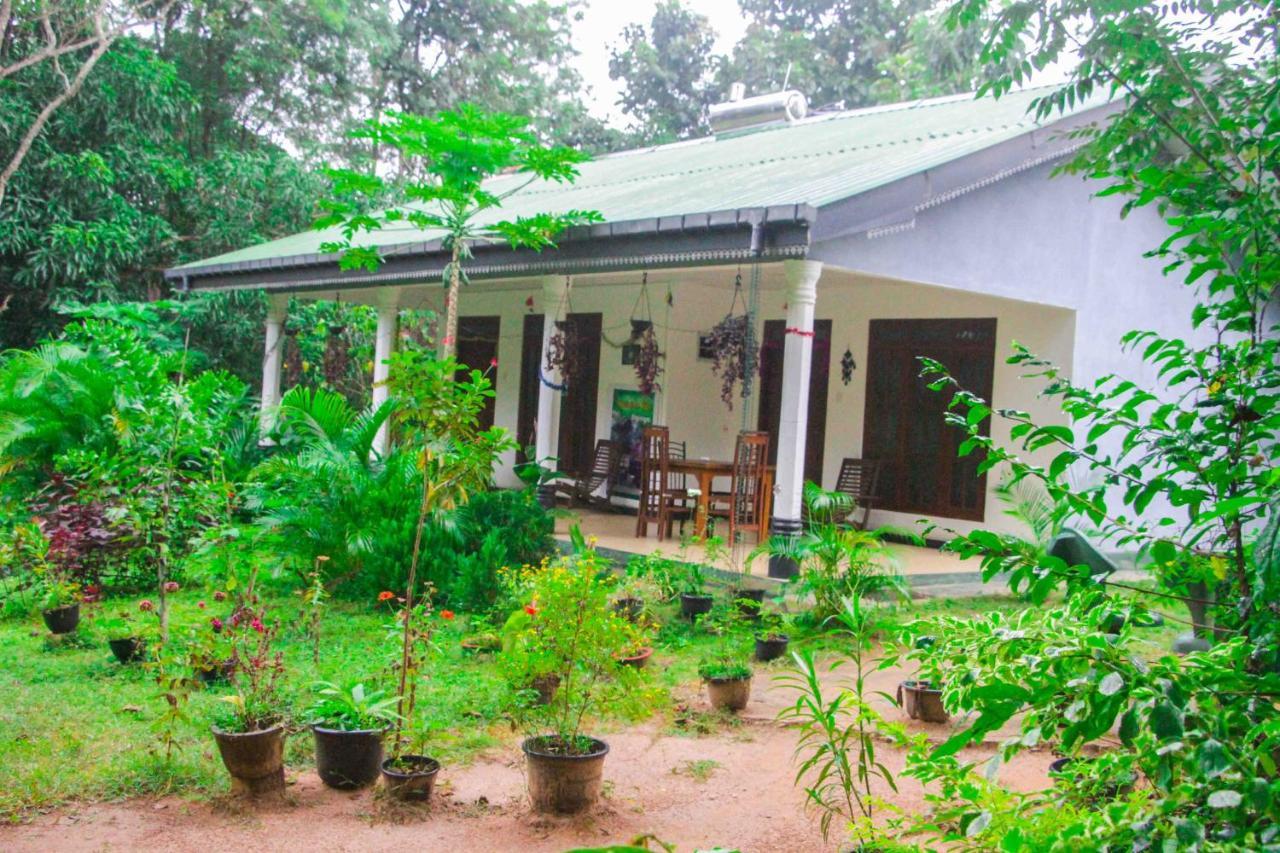 Sigiriya Mana B&B Dış mekan fotoğraf