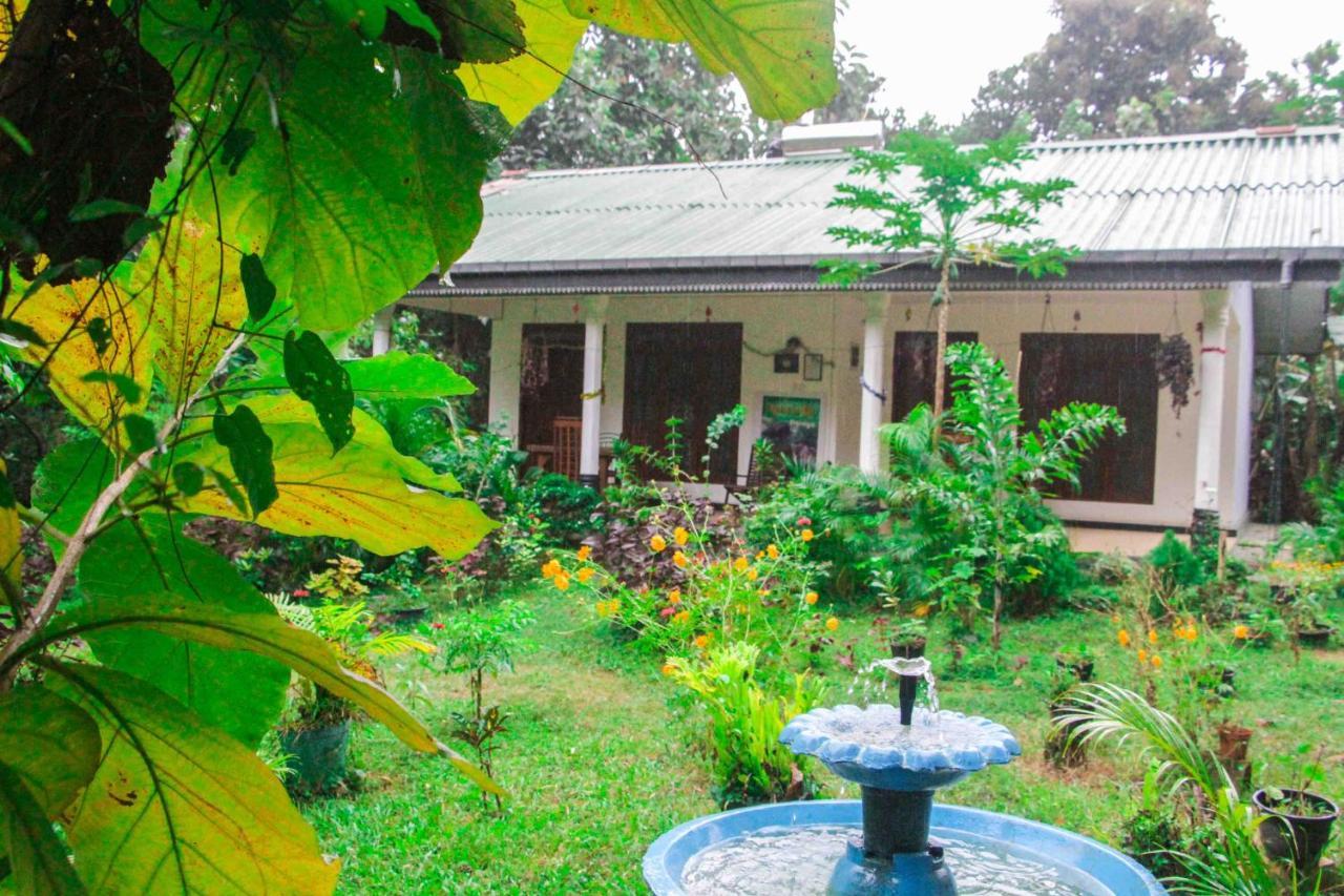 Sigiriya Mana B&B Dış mekan fotoğraf