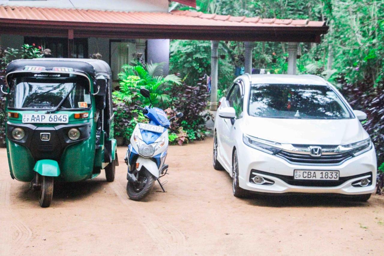 Sigiriya Mana B&B Dış mekan fotoğraf